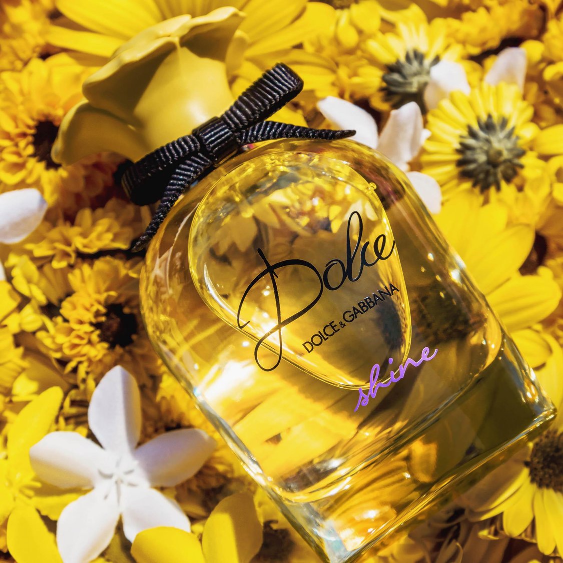 DOLCE&GABBANA Women Shine Eau De Parfum - 75ml