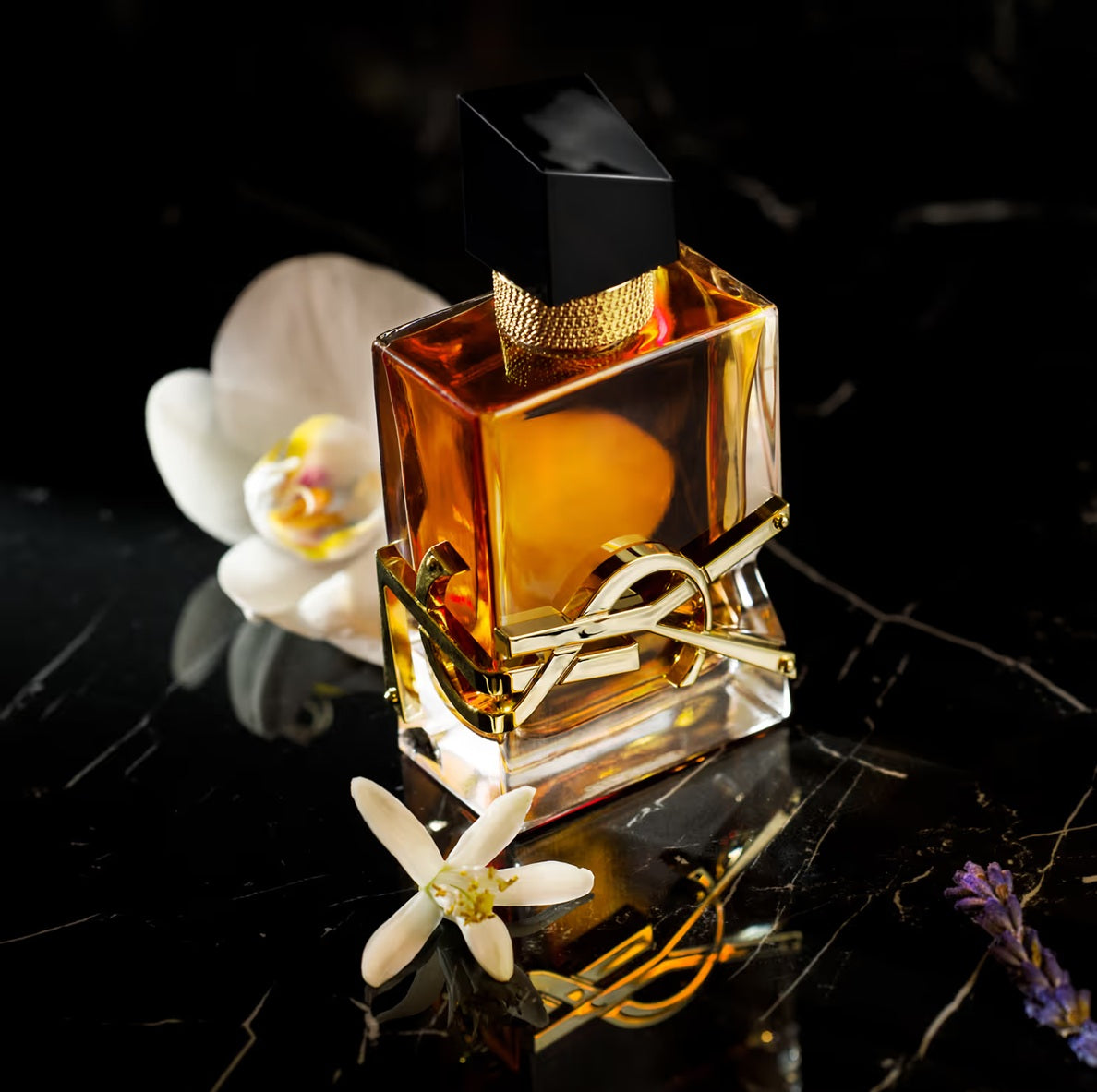 YVES SAINT LAURENT Libre Intense Eau De Parfum