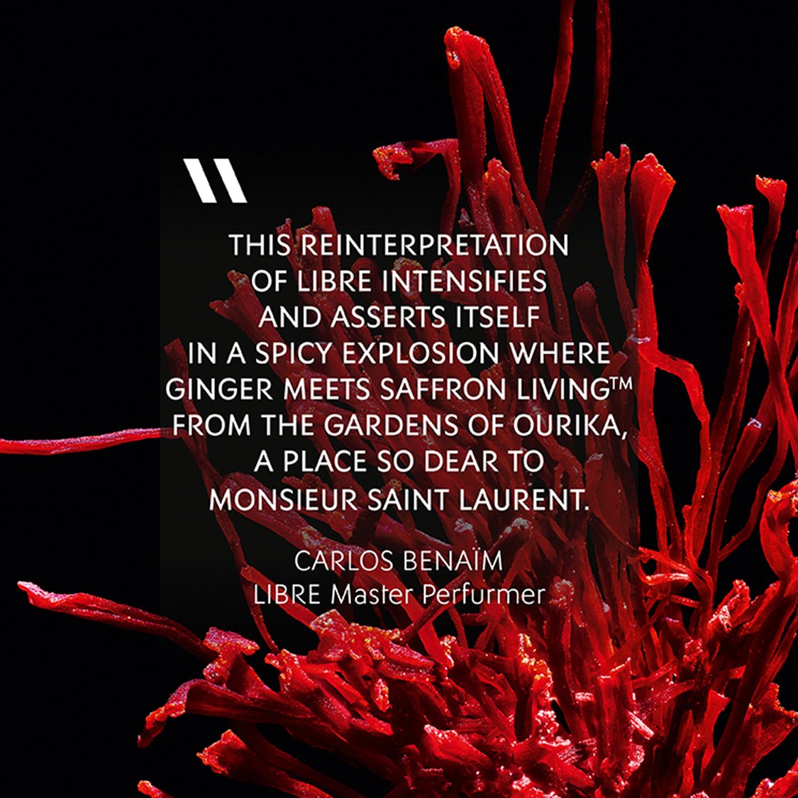 YVES SAINT LAURENT Libre Le Parfum - 30ml