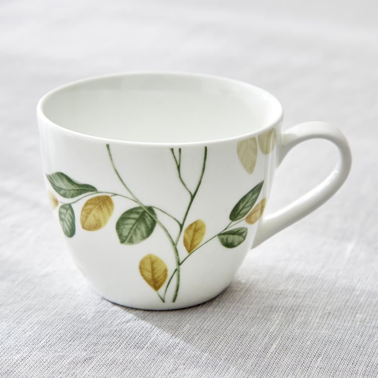 Mandarin Botanica Set of 6 Printed Cup and Saucer - 210ml