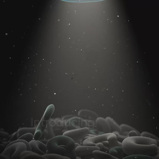 Frido Travel Neck Pillow